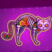 Cat symbol in Dia Muertos slot