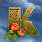 K symbol in Kamchatka slot