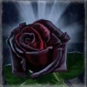Rose symbol in Dracula's Gems slot