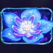 Blue Flower symbol in Firefly Frenzy slot