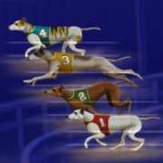Greyhounds symbol in Wildhound Derby slot
