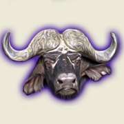 Buffalo symbol in The Wildlife slot