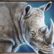 Rhino symbol in Savanna Roar slot