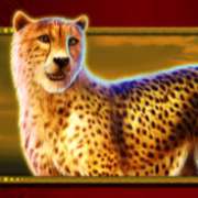 Cheetah symbol in Safari King slot