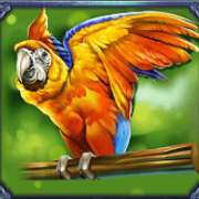 Parrot symbol in Pirate Gold slot
