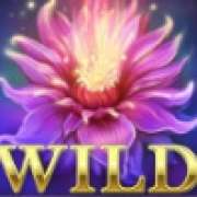 Wild symbol in Lost Island slot