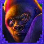 Monkey symbol in Wild Ape slot
