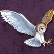 Owl symbol in Age of Athena slot