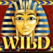 Wild symbol in Egyptian Sands slot